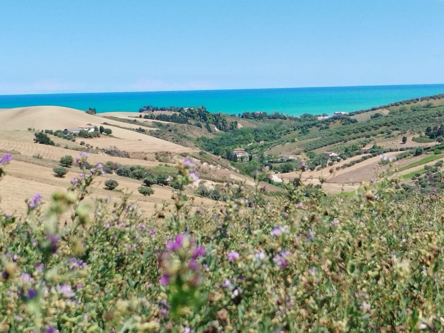 Fienilemare Casa Vacanze Villa Roseto Degli Abruzzi Exterior photo